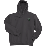 Lansing Spartans Super Heavyweight Fleece Hoodie